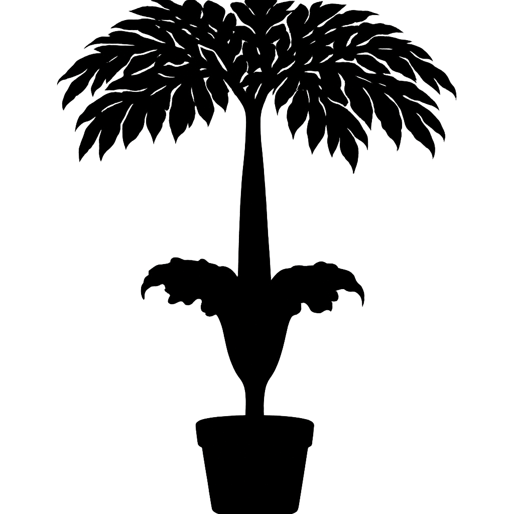 Amorphophallus decus-silvae silhouette