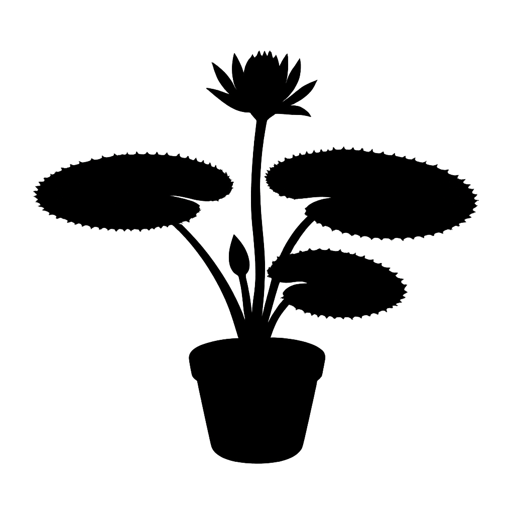 Victoria amazonica silhouette